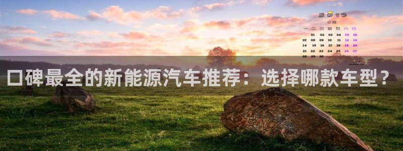 新宝gg平台反水:口碑最全的新能源汽车推 新宝gg平台反水:口碑最全的新能源汽车推