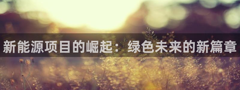 新宝gg如何注册登录:新能源项目的崛起: 新宝gg如何注册登录:新能源项目的崛起: